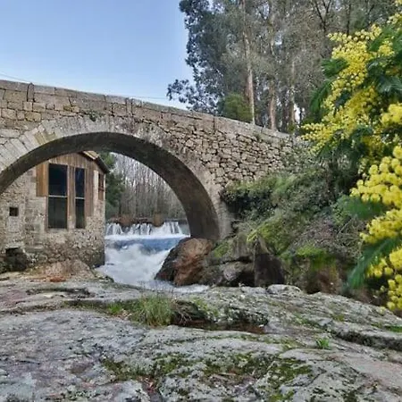 Apartment Reginita Arbo